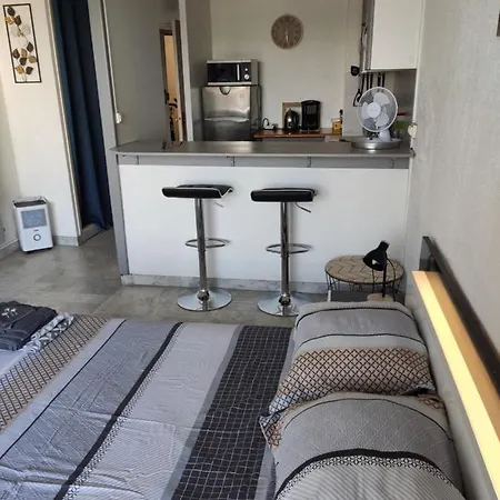 Apartment Studio Le Fidji - A 5m Du Centre - Face Au Port - Parking Prive *